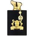 Alexandre Oscent Black tester edp 100 ml
