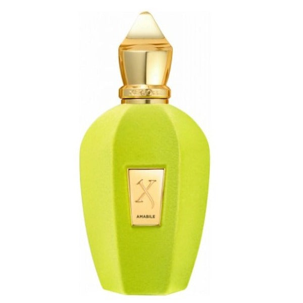 Amabile Xerjoff Unisex EDP 100 ml Tester